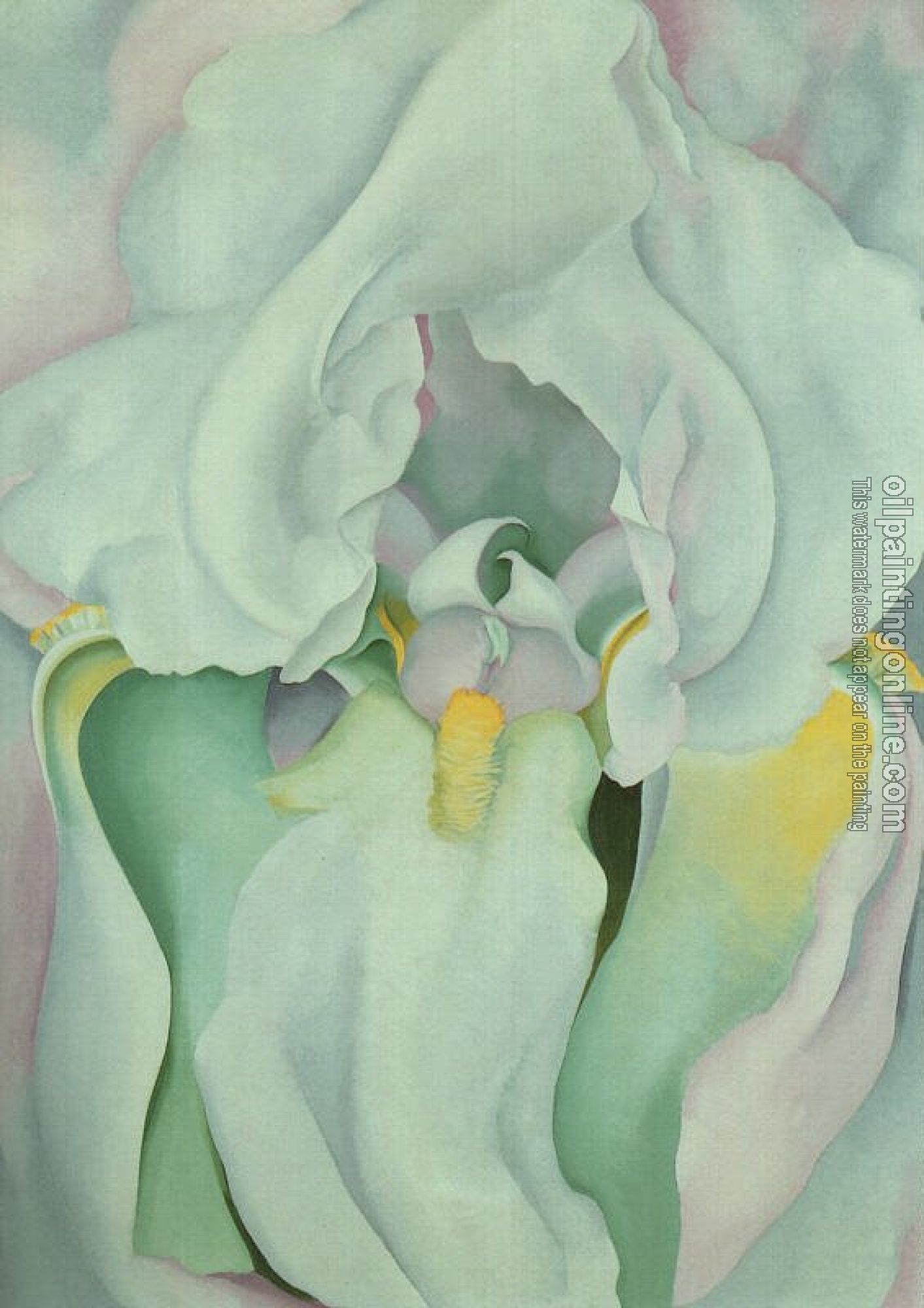 O Keeffe, Georgia - Light Iris II